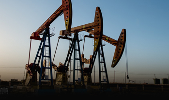 Oil