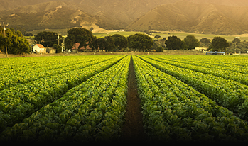 Irrigation systems